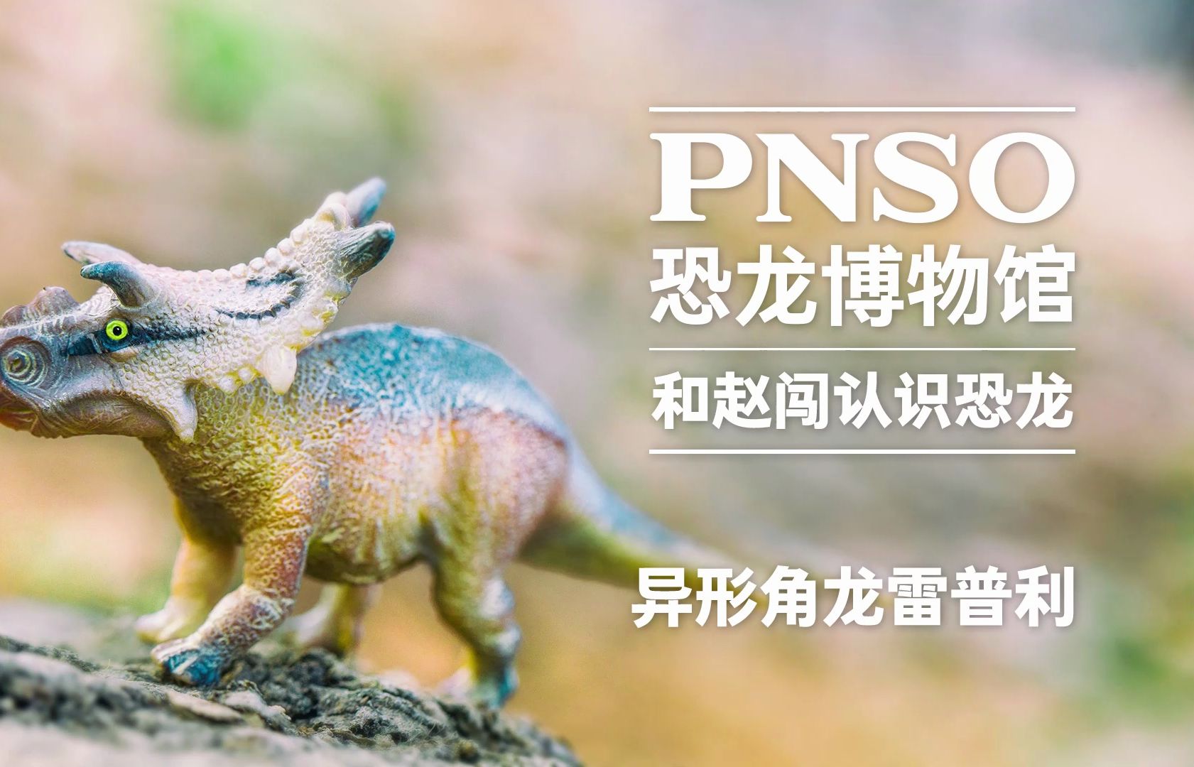 和赵闯认识小恐龙:异形角龙雷普利