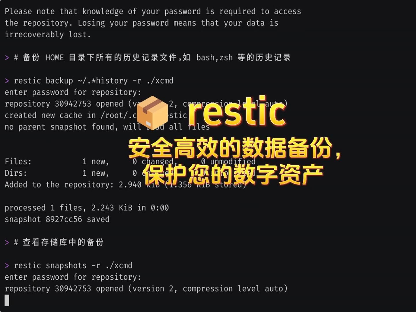 📦 restic: 安全高效的数据备份,保护您的数字资产