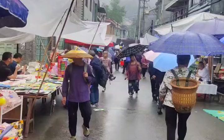 [图]【早市】快来快来，我在这里