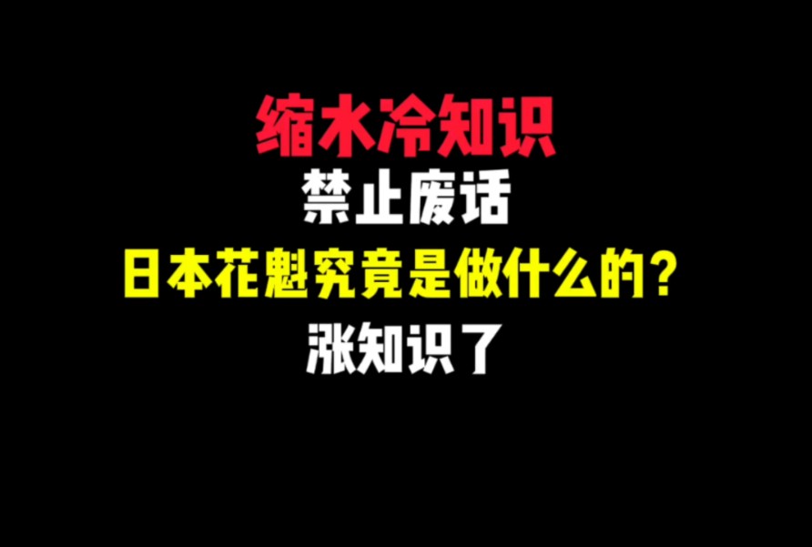 禁止废话:日本花魁究竟是做什么的?哔哩哔哩bilibili