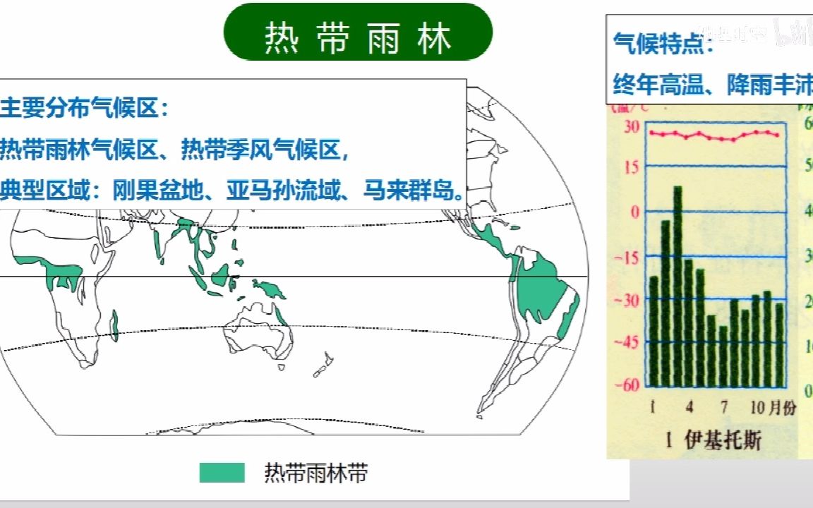 地理必修一5.1植被哔哩哔哩bilibili