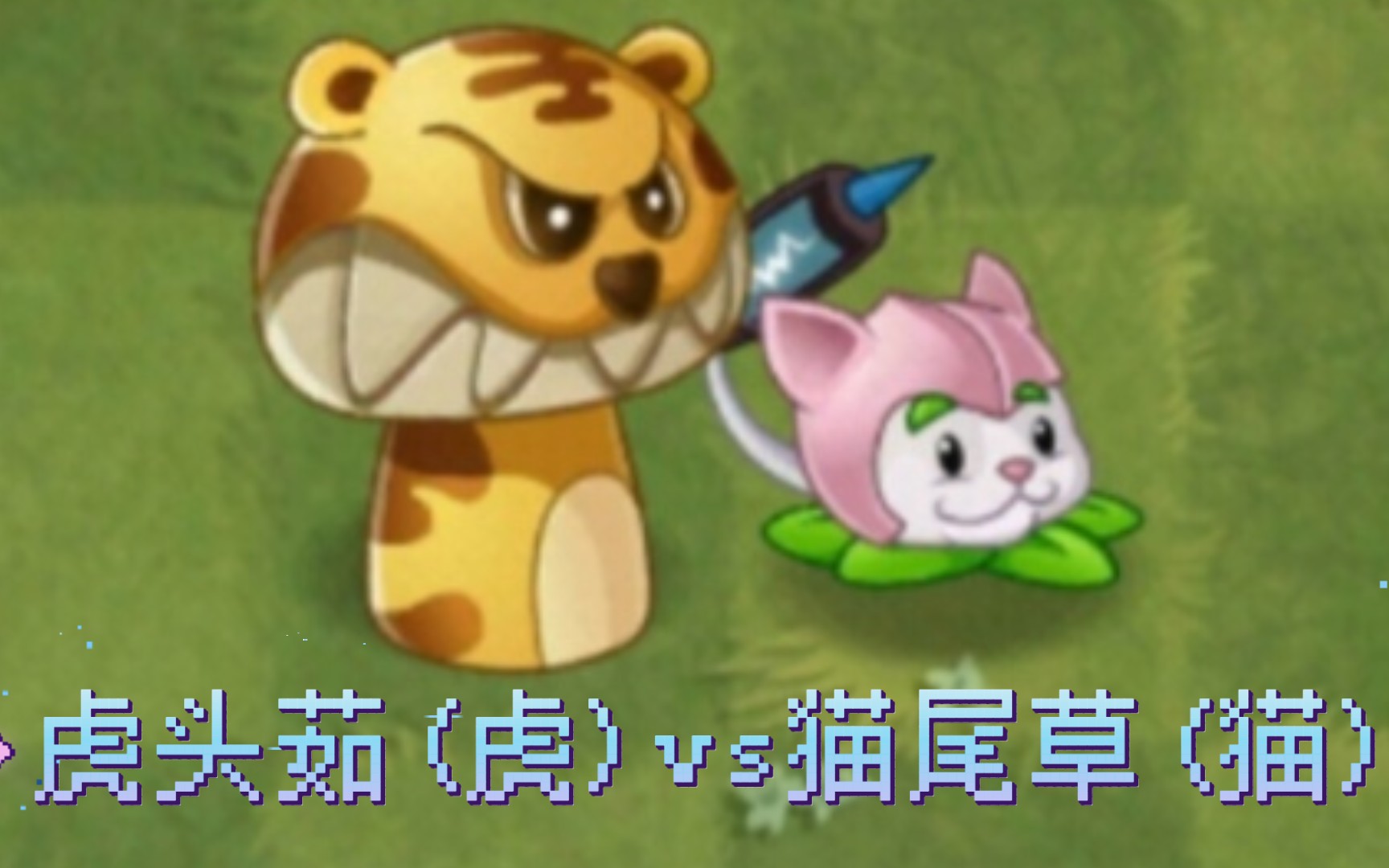 [pvz2][植物大战僵尸2]虎头茹(虎)vs猫尾草(猫)