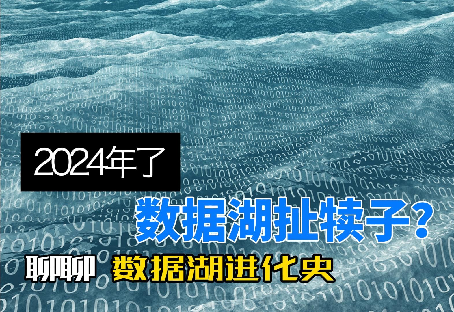 都2024年了,怎么还有人觉得数据湖是在扯犊子啊?哔哩哔哩bilibili