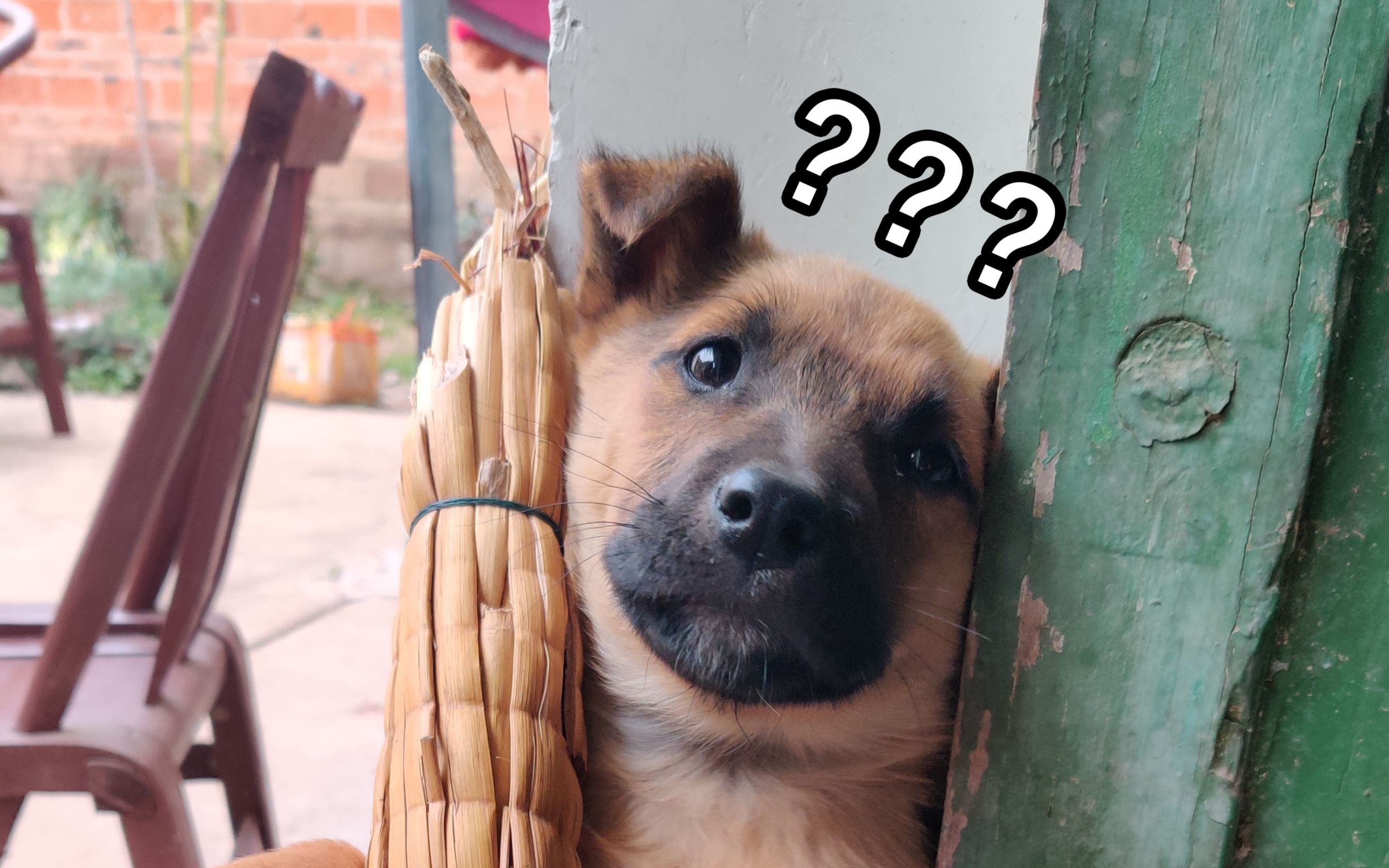 小朋友,你是否有很多问号?