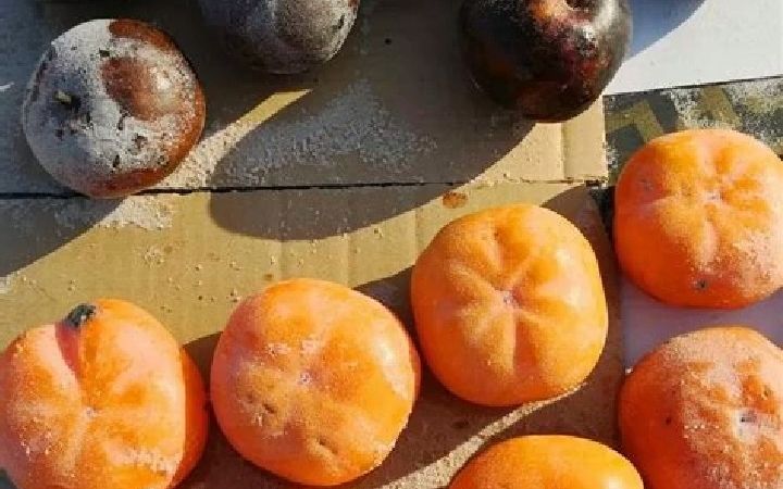 7080后童年记忆东北冻果三宝之一冻梨不来东北吃不到