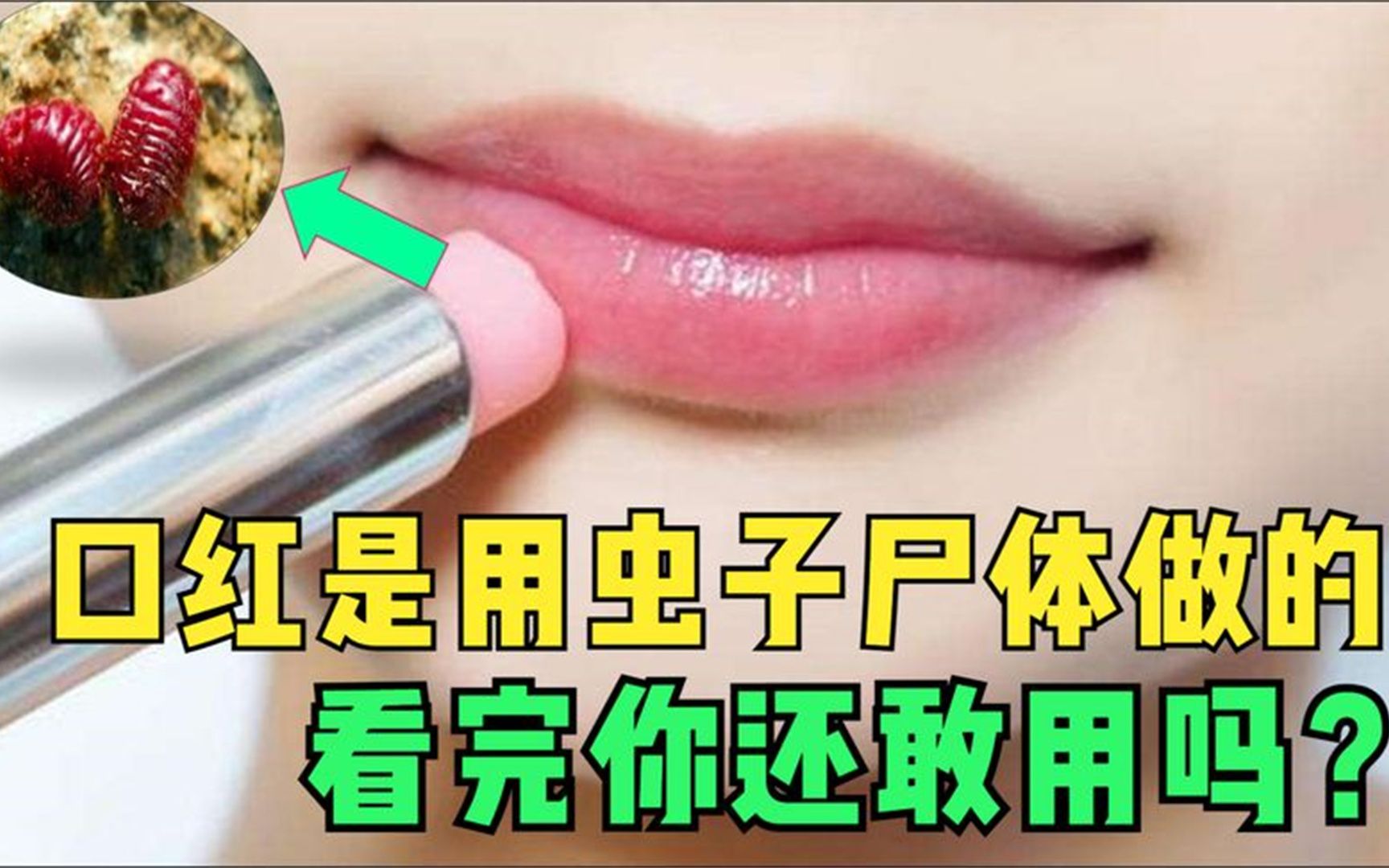 做成口红的叫做胭脂虫,既然可以把它制作成口红的话,证明这种虫子对