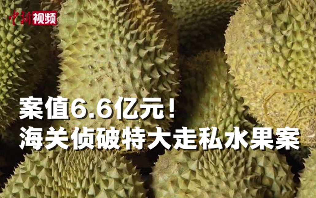 案值约6.6亿元!两地海关成功打掉水果走私团伙哔哩哔哩bilibili