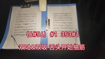 Download Video: 【口琴】查尔达斯舞曲练习 被双吐双吸折磨的一天 小萌新第一次尝试在乐句里加入双吐，吹的不咋地 132bpm慢练