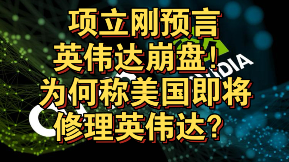 未来没有英伟达的立足之地了?项立刚是暴论还是认真的?哔哩哔哩bilibili