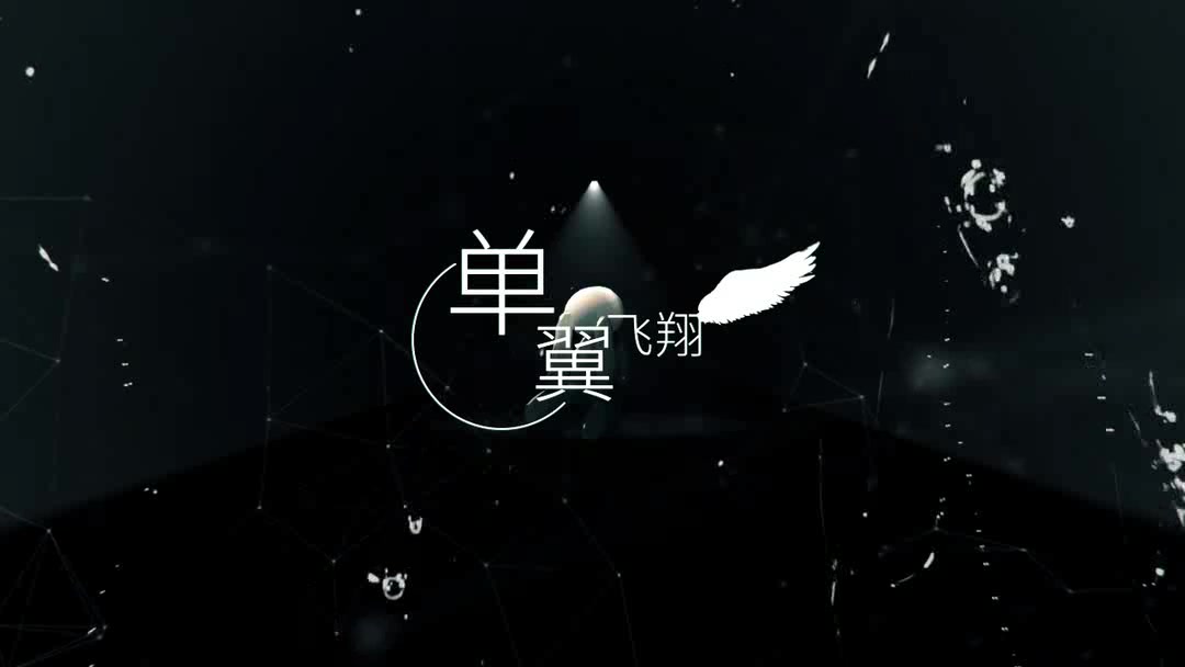 翼杰单翼飞翔