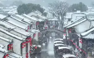 下载视频: 一下雪，苏州就美成了姑苏