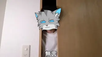 Download Video: 【猫武士】不同的猫接外卖