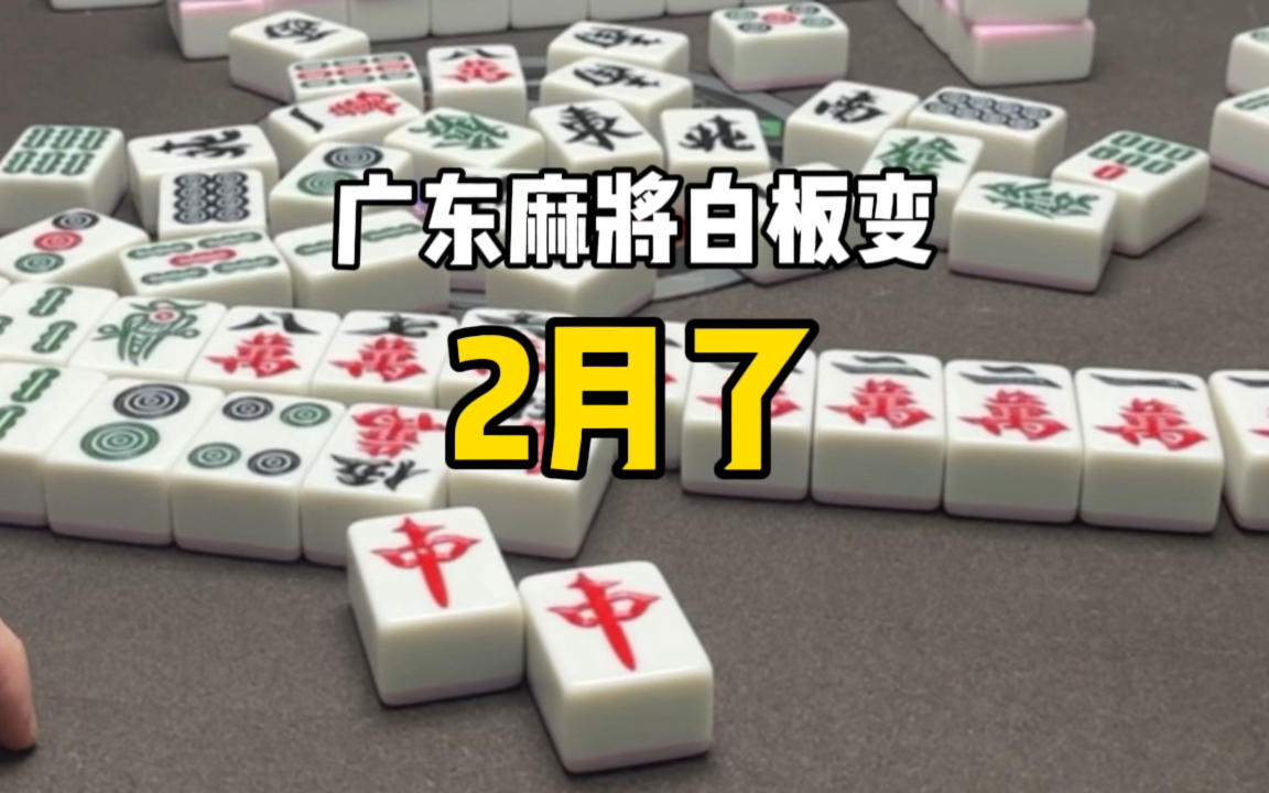 广东麻将白板变,2月了,准备过年噜