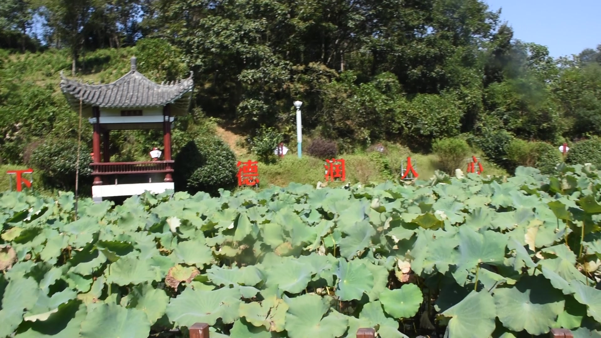 中秋节的清莲苑