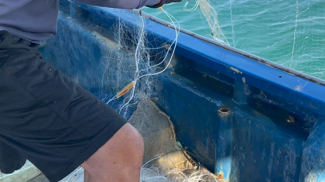 【北海_潿洲島】啊這,這就是出海捕魚麼?