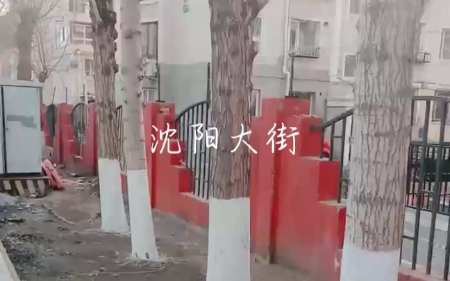 沈阳大街仍然在,不见当年整活人