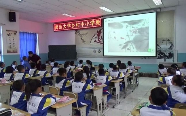 小学语文人教版(部编)一年级上册29.课文 3 江南哔哩哔哩bilibili