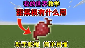 我的世界甜菜根有什么用？一个视频教会你！冷知识