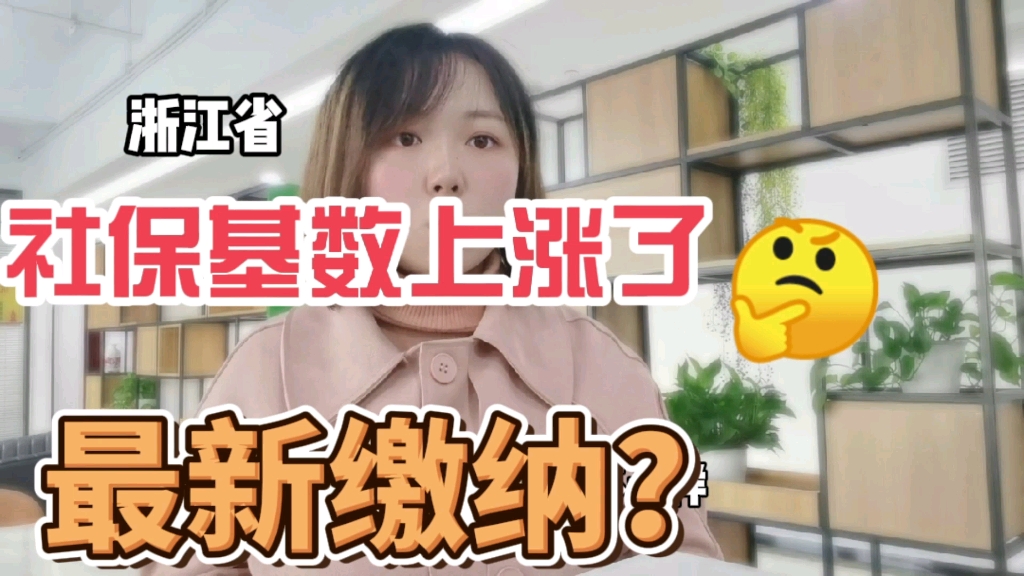 浙江省最新社保缴纳基数哔哩哔哩bilibili