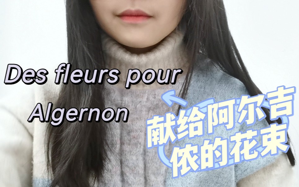 [图]［法语中字］献给阿尔吉侬的花束/des fleurs pour Algernon/书籍分享