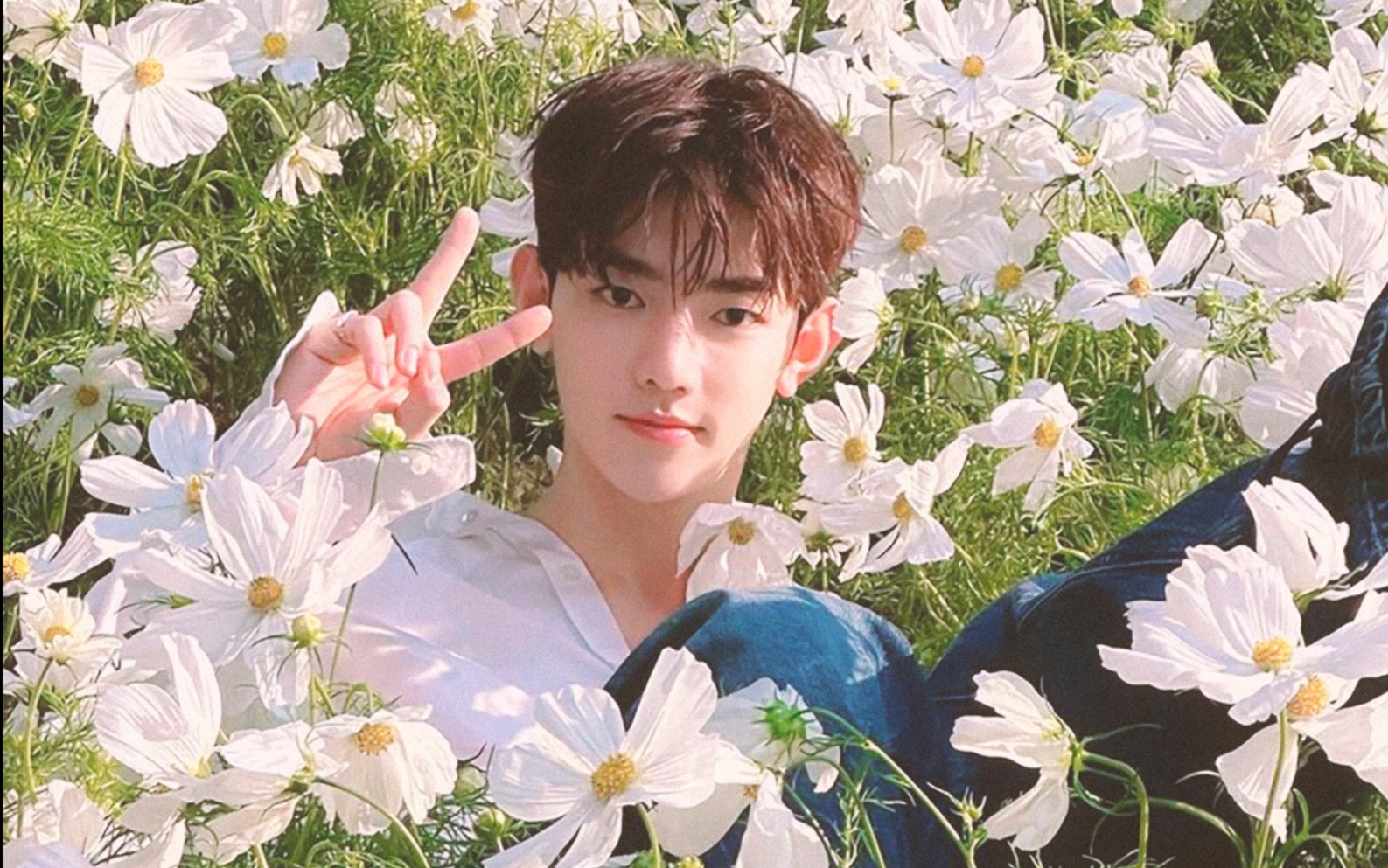 章昊--人间小白花