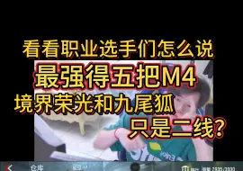 Download Video: 看看职业选手们怎么谈最强M4，境界荣光丶九尾狐只有二线水准？