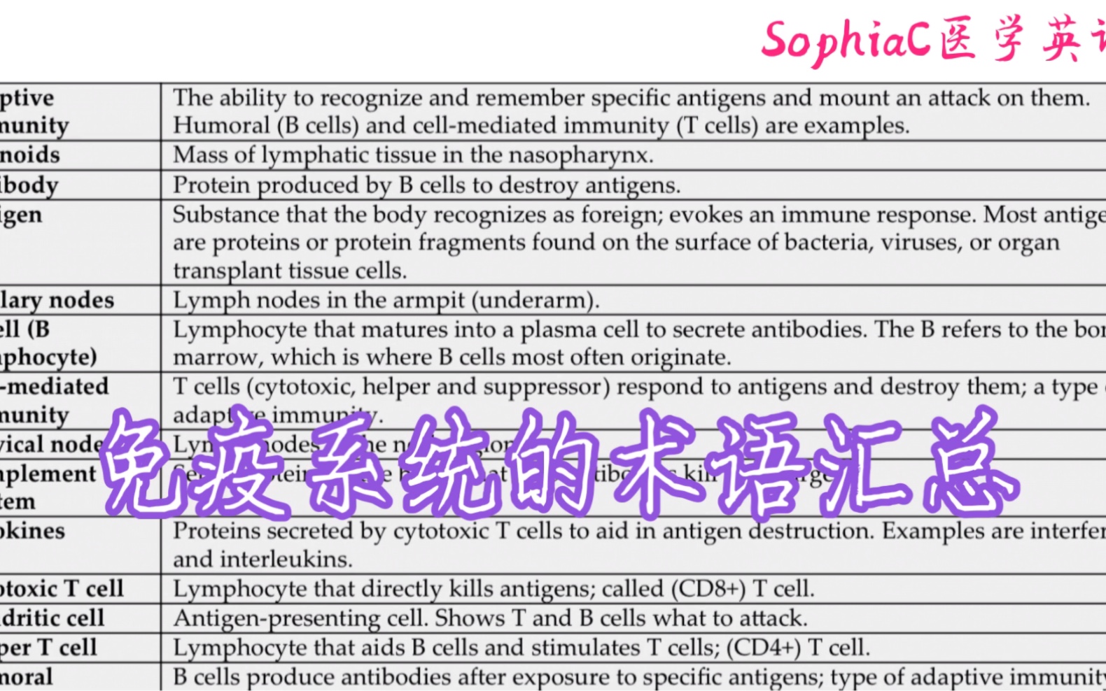 医学英语|免疫系统的医学术语汇总哔哩哔哩bilibili