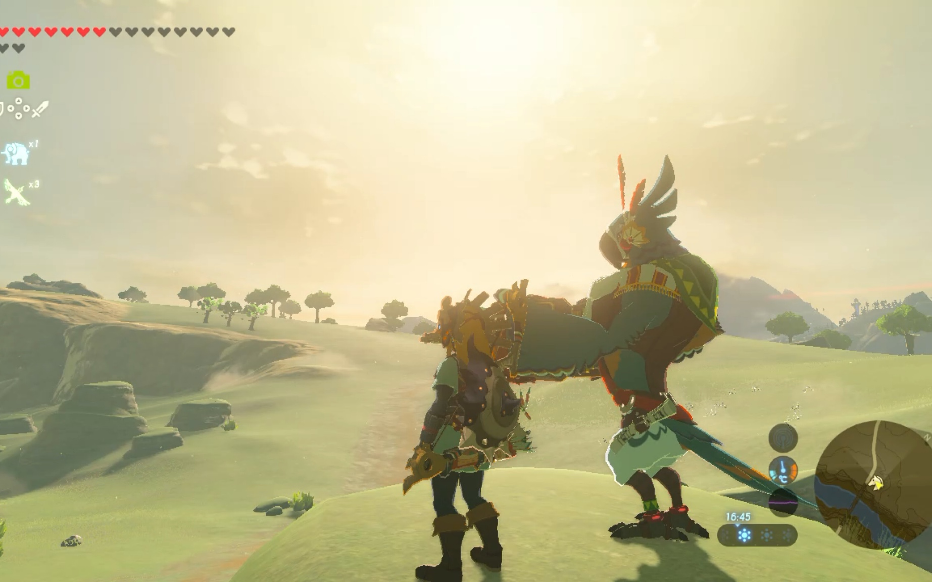 卡西瓦观察日记