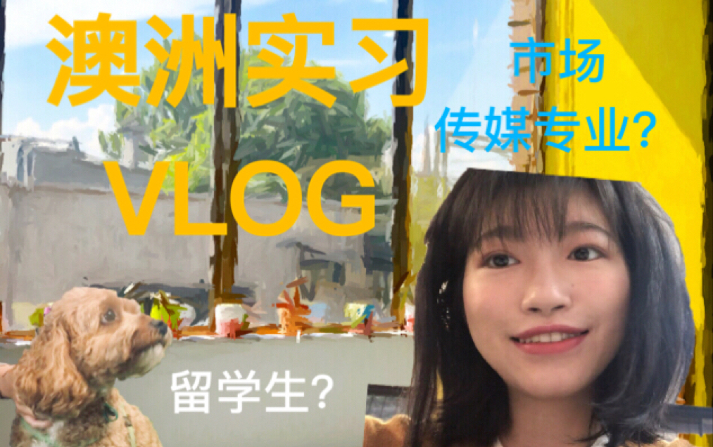 【澳洲实习VLOG】传媒留学生在澳洲市场公司实习是怎样的体验?哔哩哔哩bilibili