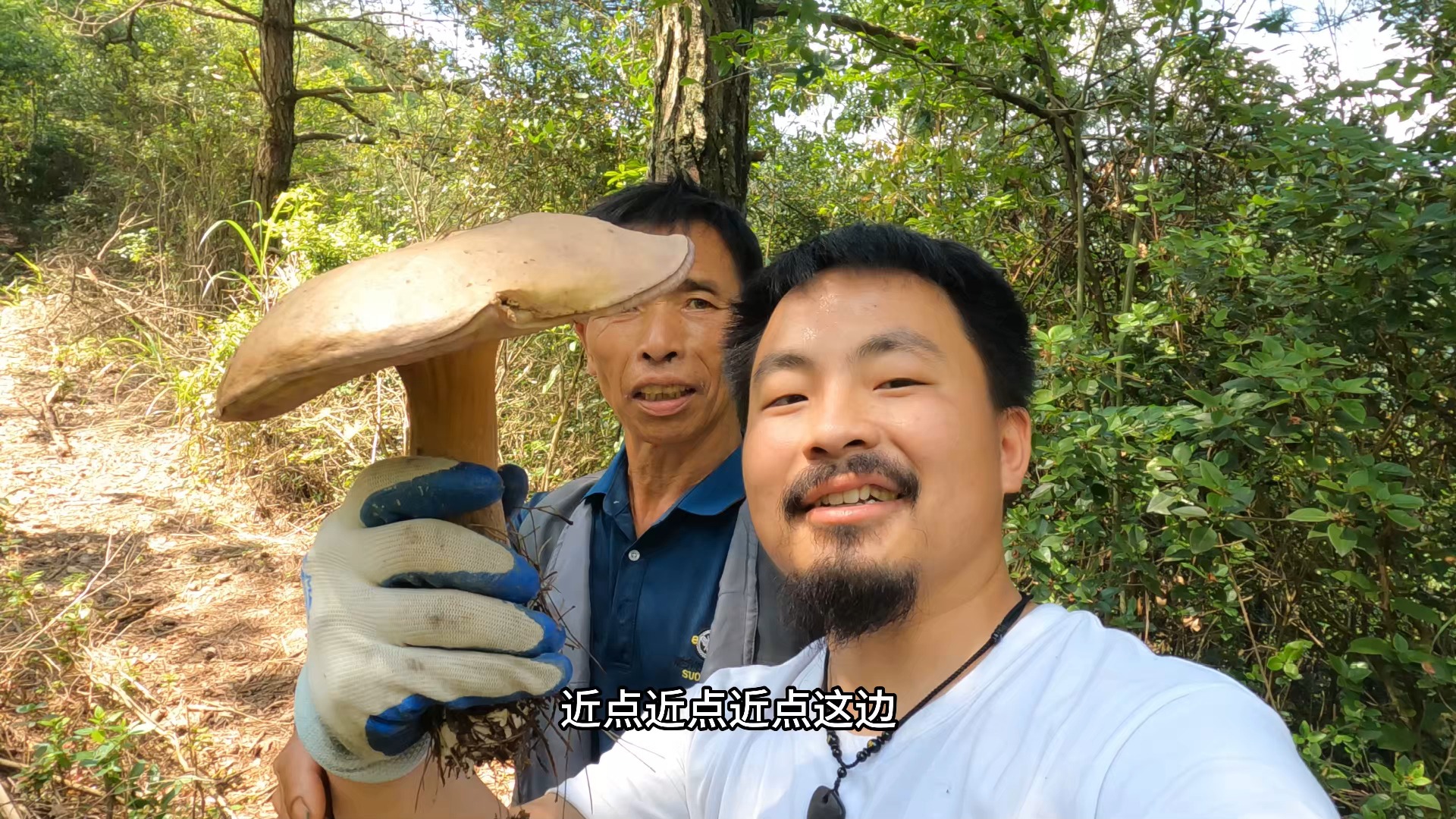 陪阿bie进趟山,发现了大蘑菇还吃到了蜂蜜,于是我要请阿bie吃刀削面!哔哩哔哩bilibili