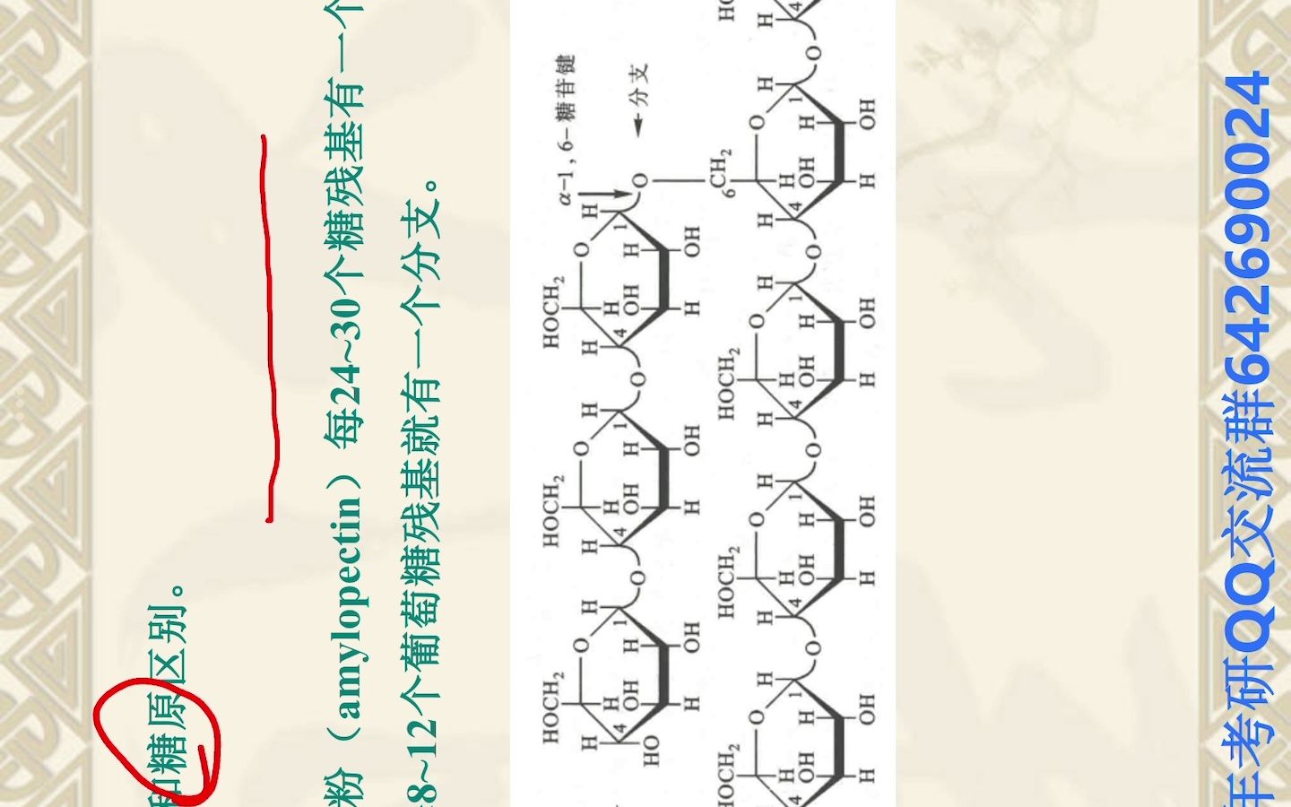 2023中国海洋大学生物化学课程(课本)22章哔哩哔哩bilibili