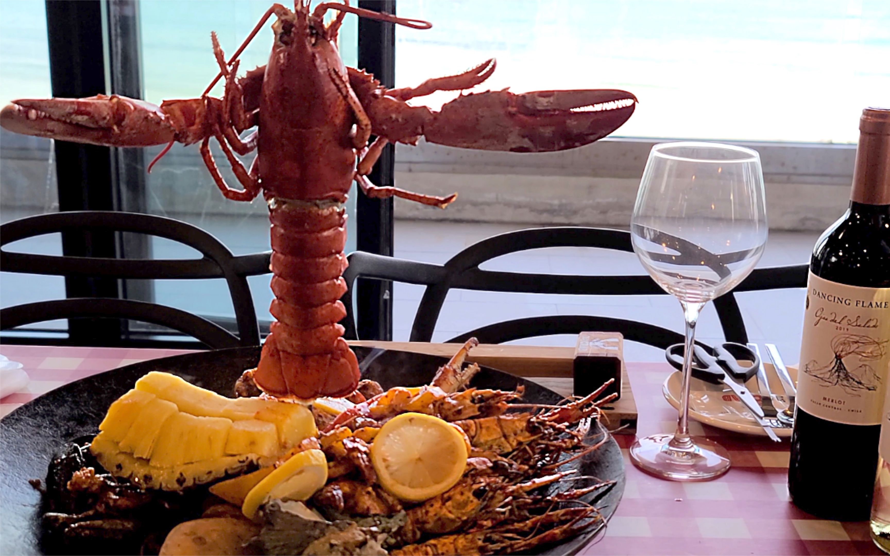 济州岛最佳的风景一起享受干烧火龙虾"月汀龙虾"