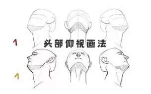 Download Video: 【绘画教程】仰视头部怎么画？