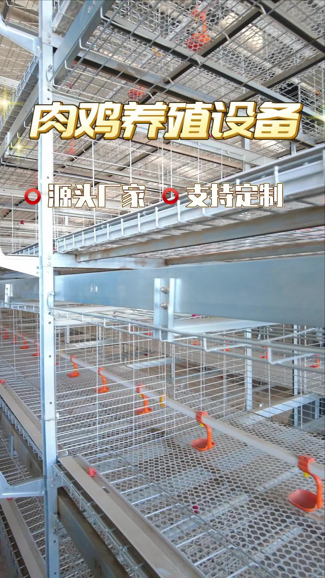 成笼全自动养鸡设备定制厂家带你了解怎么样,欢迎你来了解;为你提供