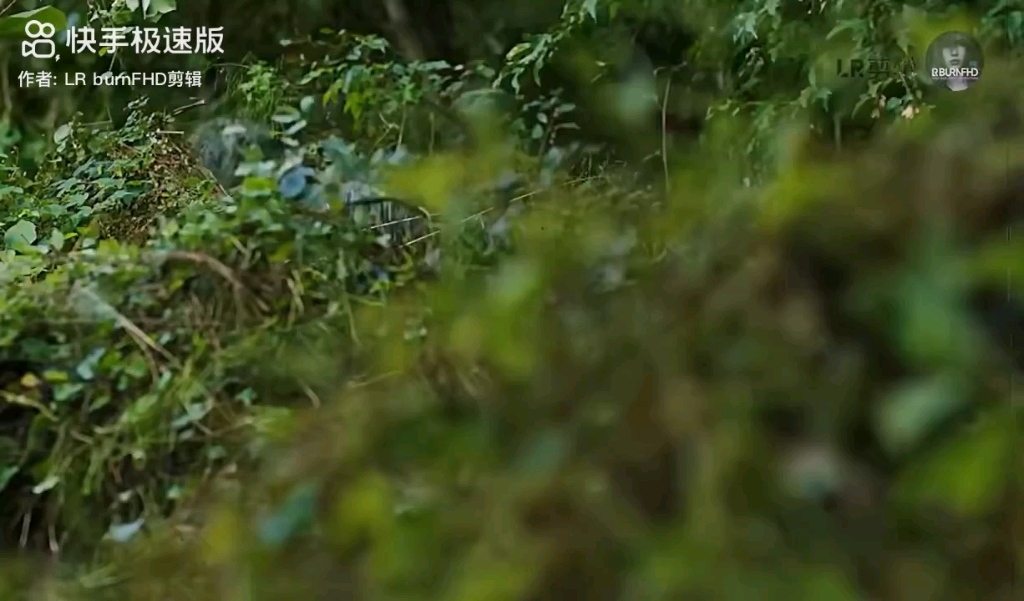 【博艺鸿】最新视频上线,求关注!