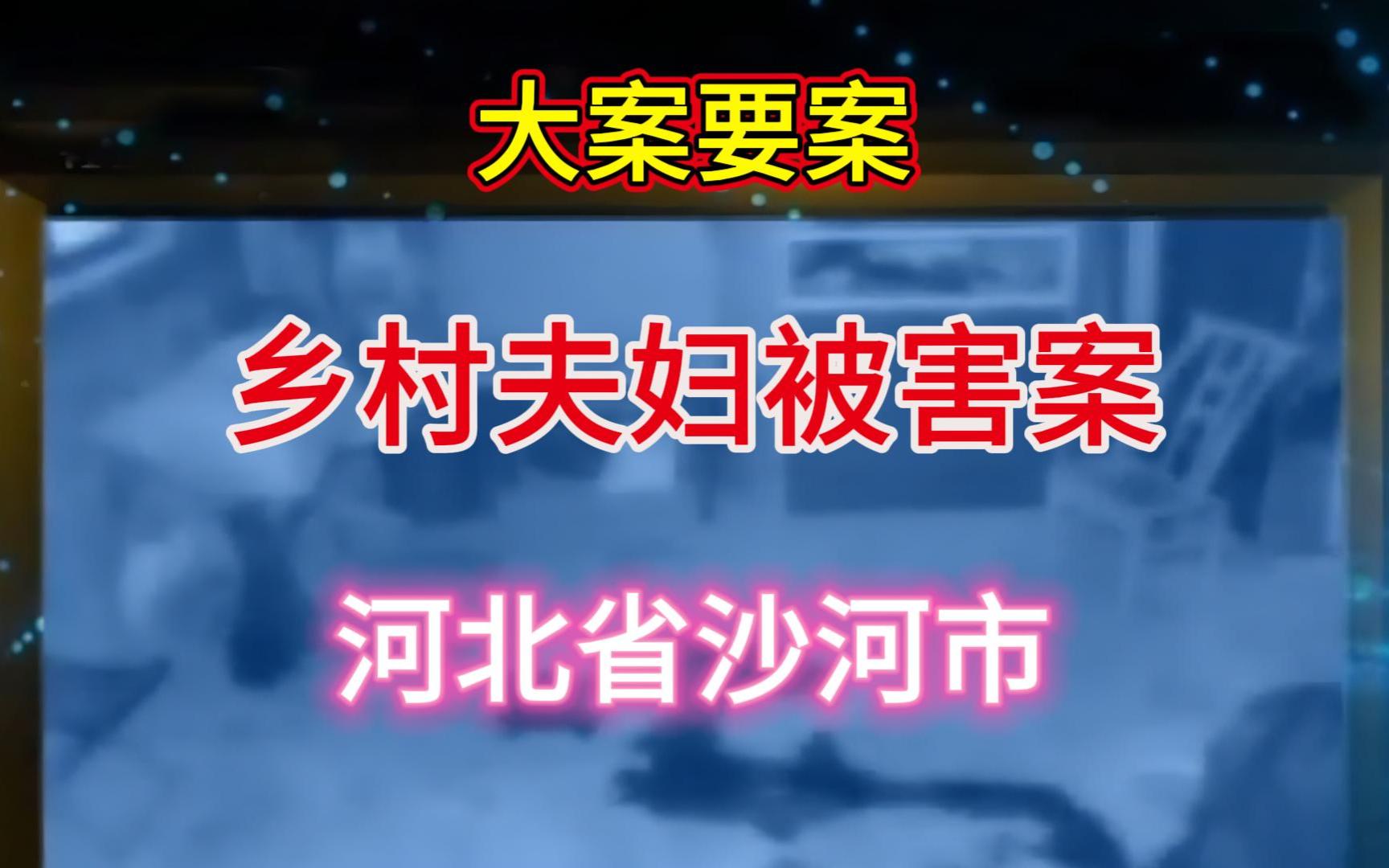 大案要案:乡村男子给朋友送饭,发现朋友夫妇二人被杀家中.(河北省沙河市命案)哔哩哔哩bilibili