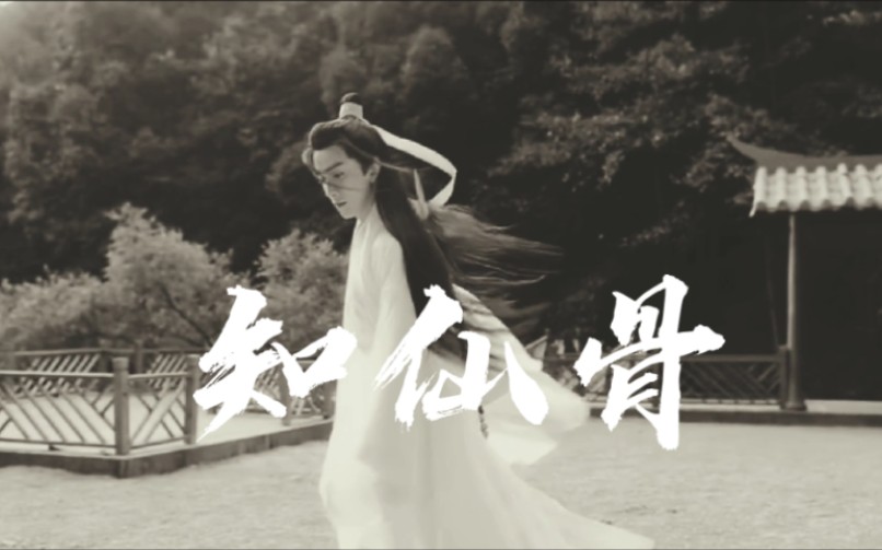 朱赞锦谢怜知仙骨天官赐福芳心只一剑如何能救万千