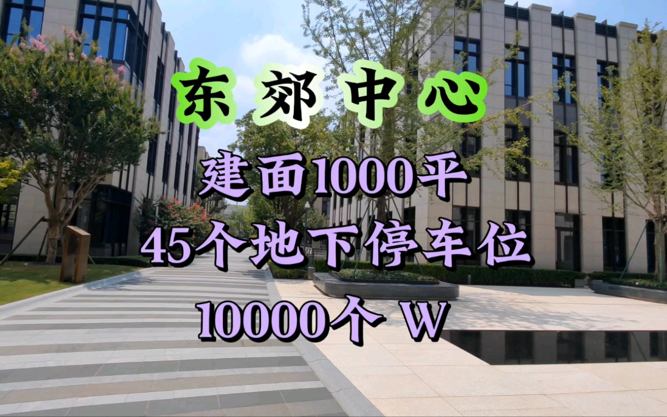 华洲君庭旁拥有45个停车位的商叶别墅,建筑面积1000平,另有200平大露台!哔哩哔哩bilibili