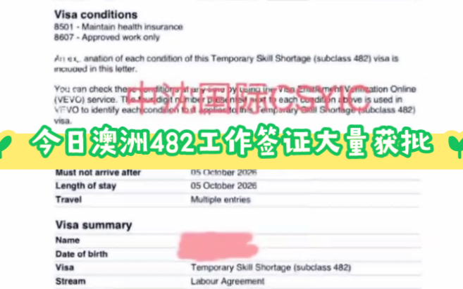 今日澳洲工作签证大量获批哔哩哔哩bilibili