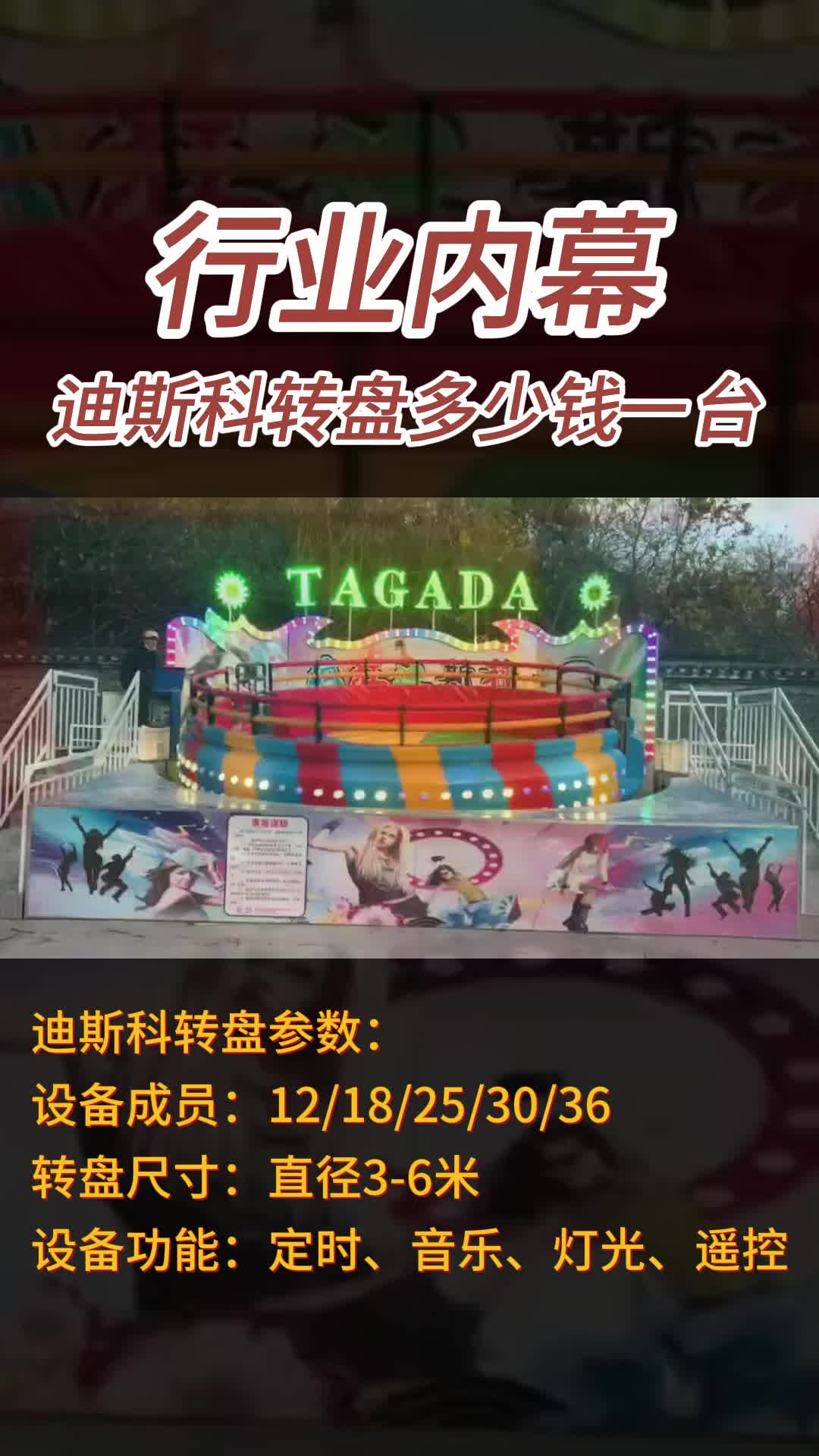 疯狂迪斯科大转盘多少钱