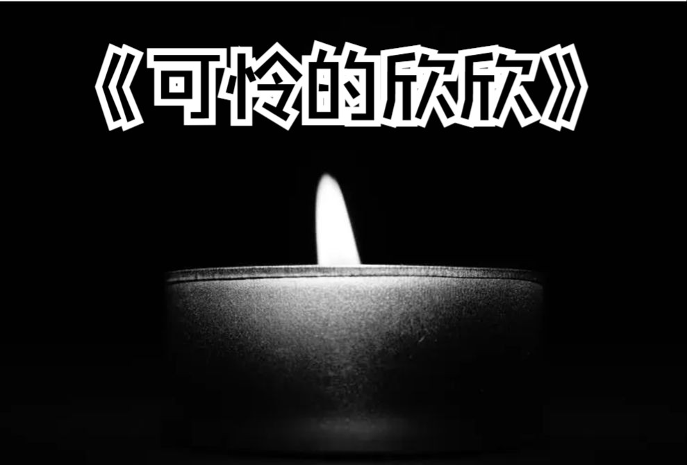 吉林敦化:可怜的欣欣——刑事案件解说哔哩哔哩bilibili