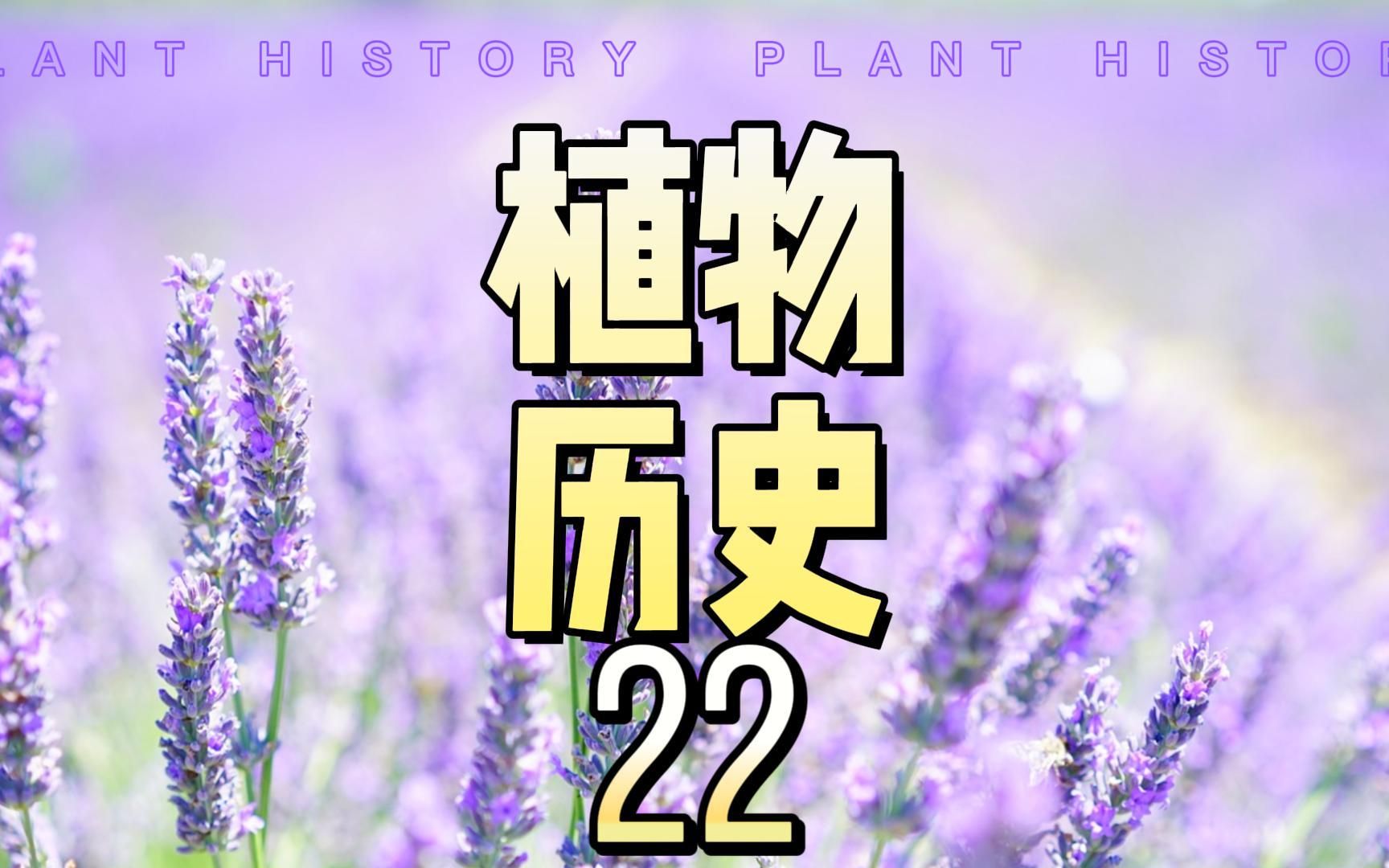 [图]植物历史(二十二) ：植物与人类——香料植物&药用植物