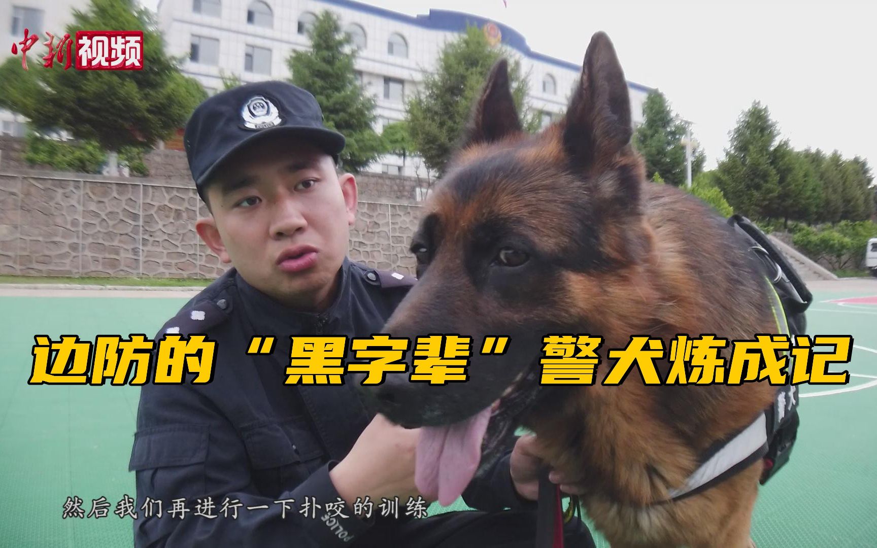 边防的“黑字辈”警犬炼成记哔哩哔哩bilibili