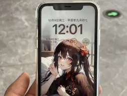 Video herunterladen: 2024年入手iPhone11