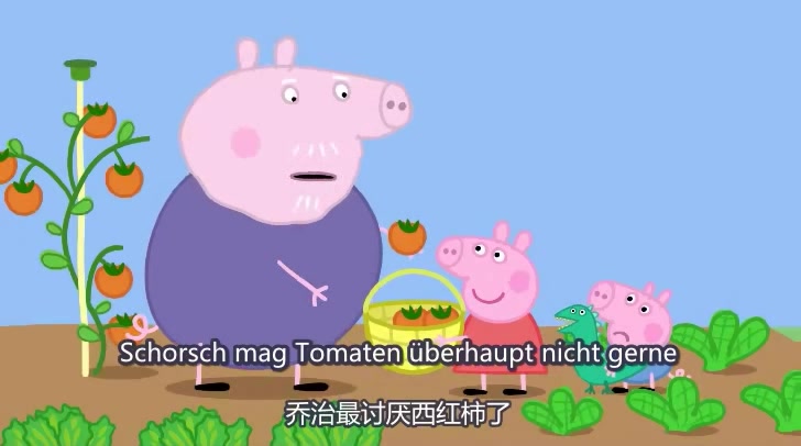 [图]【中德】Peppa Wutz， Salat1