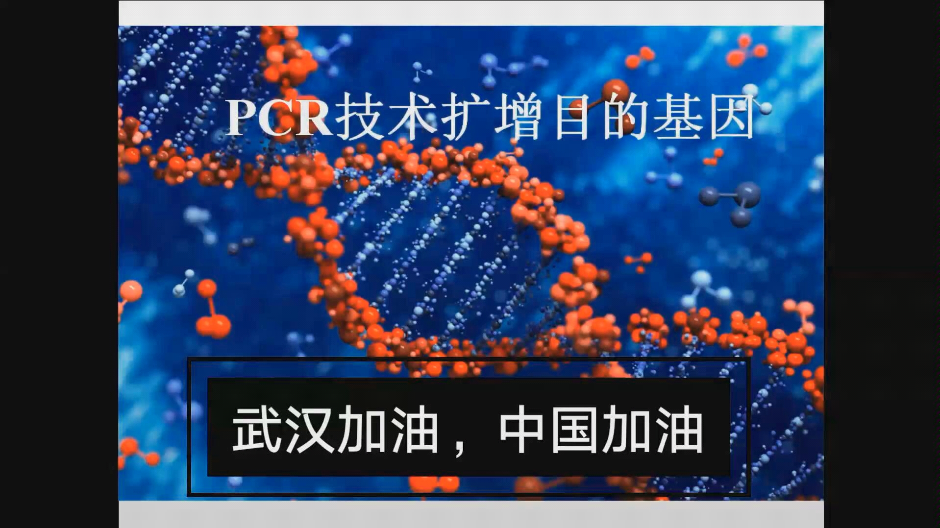 用pcr技术扩增目的基因哔哩哔哩bilibili