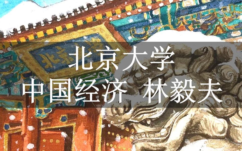 1. 中国经济发展的前景和面临的主要问题哔哩哔哩bilibili