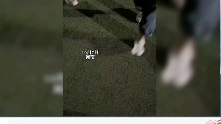 心花怒放哔哩哔哩bilibili