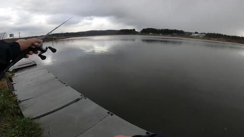 スティーズctシャロースプールとアルファスair Twを比べてみた 差は確かにある Rcsb Ct Sv700s 哔哩哔哩