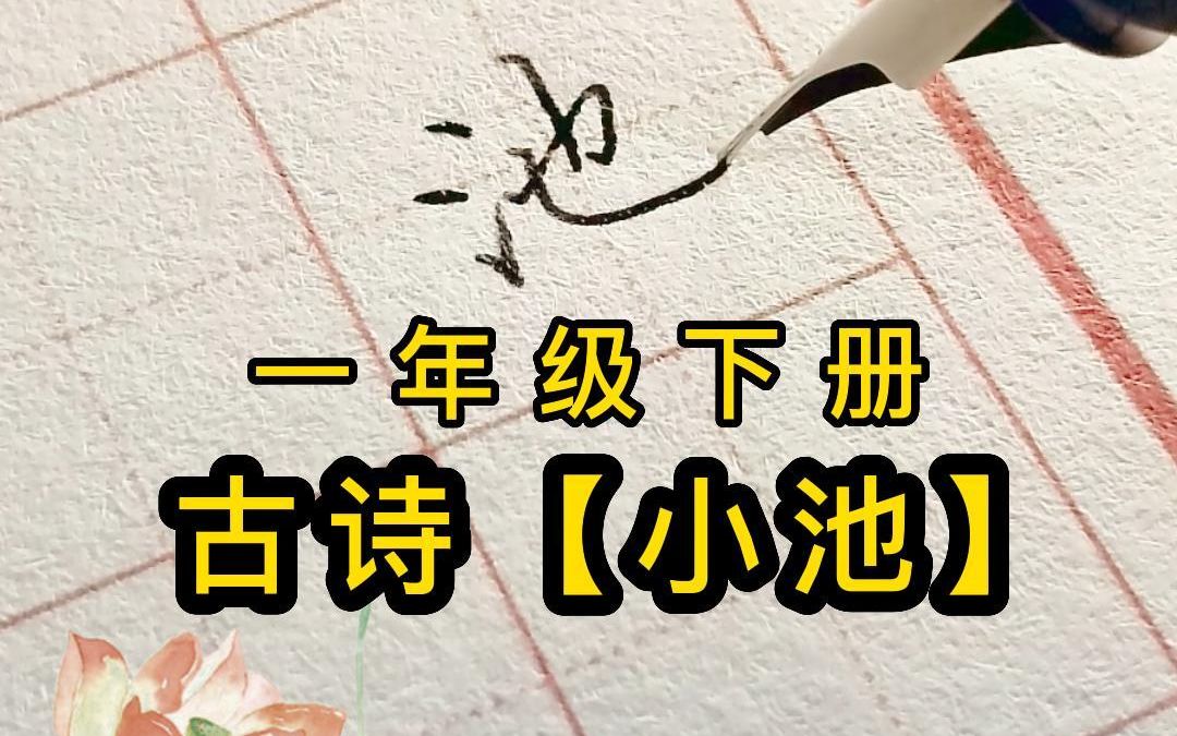 一年級下冊古詩《小池》純享版